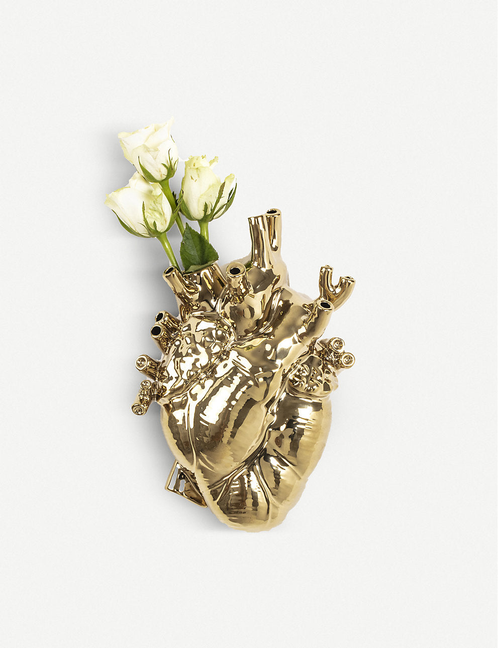 Anatomical Heart Vase