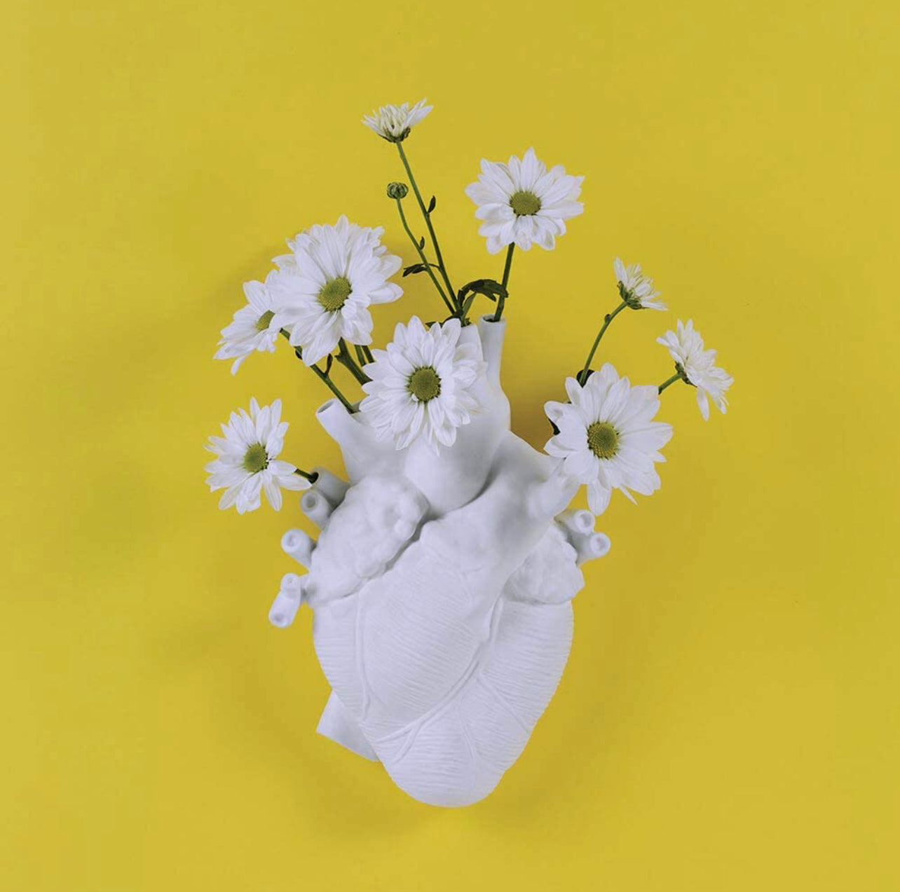 Anatomical Heart Vase