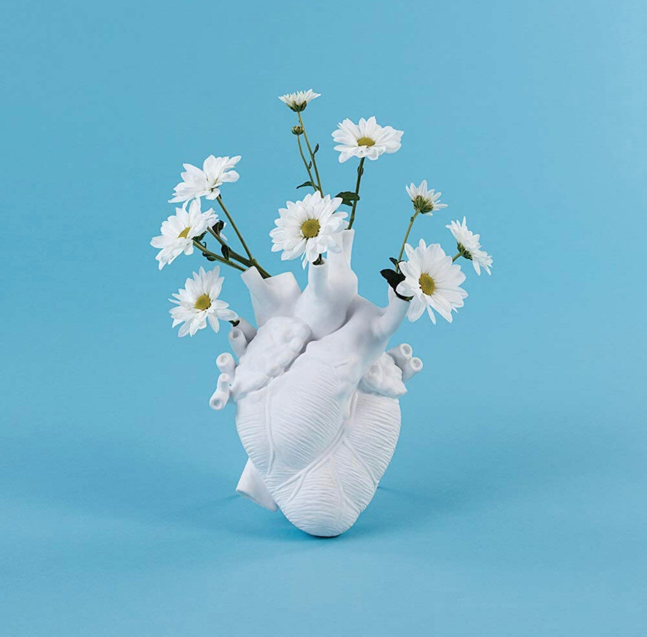 Anatomical Heart Vase