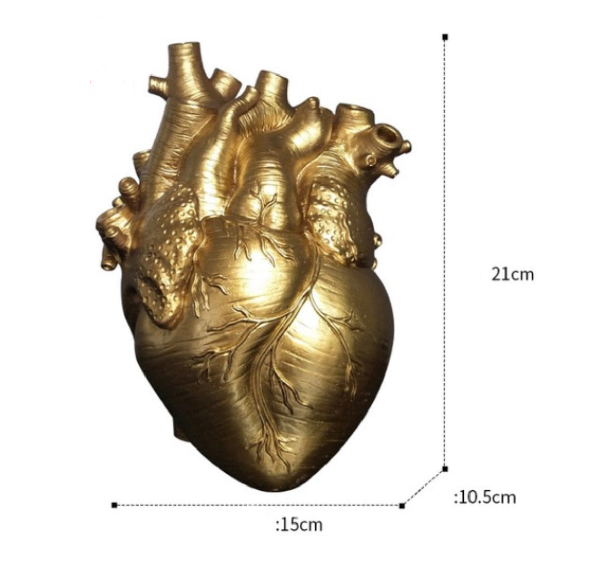 Anatomical Heart Vase